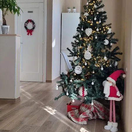 Alemanni54 - Bologna