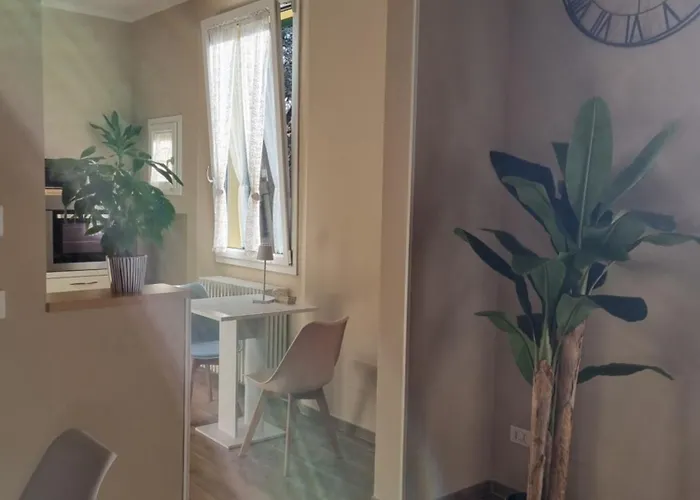 Alemanni54 - Bologna