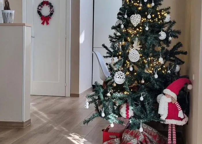 Alemanni54 - Bolonia